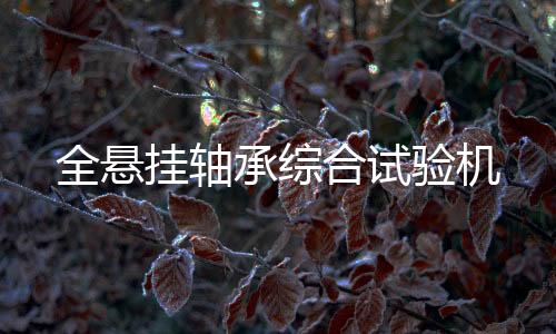 全懸掛軸承綜合試驗(yàn)機(jī)
